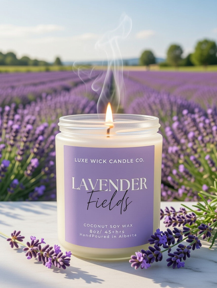 Lavender Fields